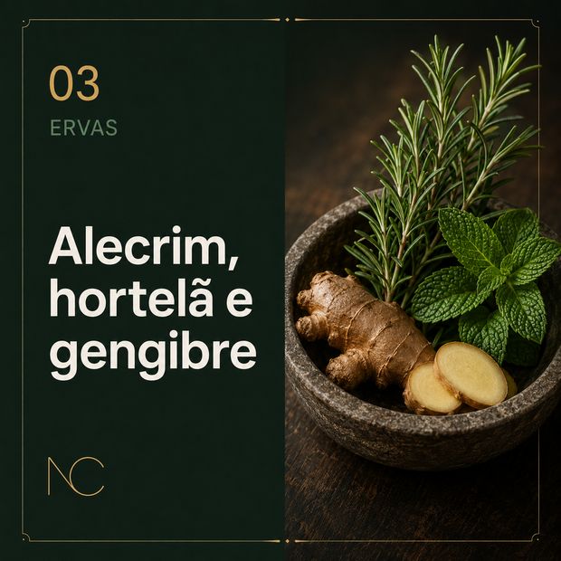 Alecrim, hortelã e gengibre